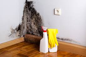 Best Mold Remediation for Healthcare Facilities  in Bithlo, FL